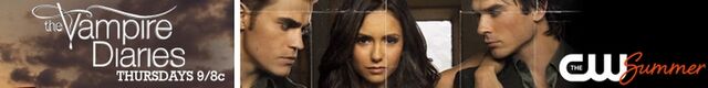 File:Banner-the-vampire-diaries-31368730-800-100.jpg