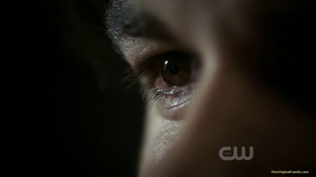 File:026-tvd-2x11-by-the-light-of-the-moon-theoriginalfamilycom.jpg