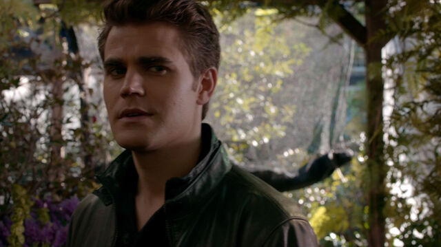 File:715-034-Stefan.jpg