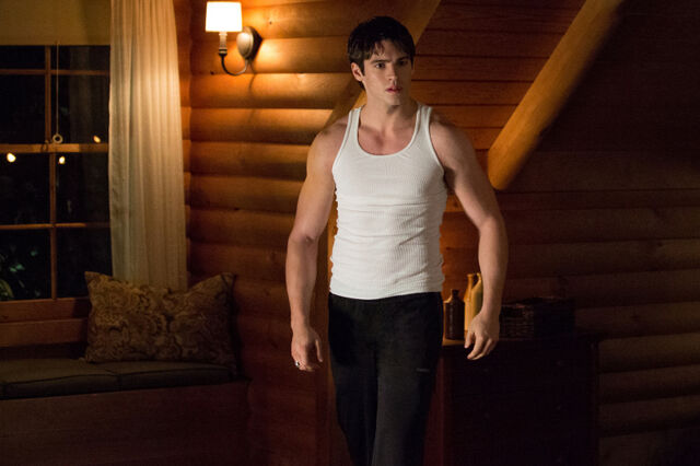 File:TVD 410A 0050b.jpg-c775b0ee-t3.jpg