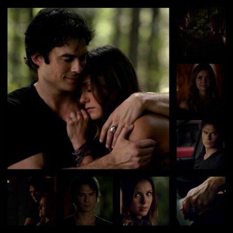 File:Delena Moments 6x01.jpg