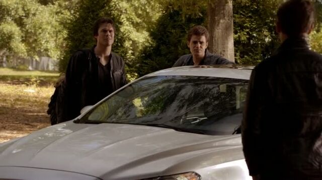 File:6X08-117-StefanDamon.jpg