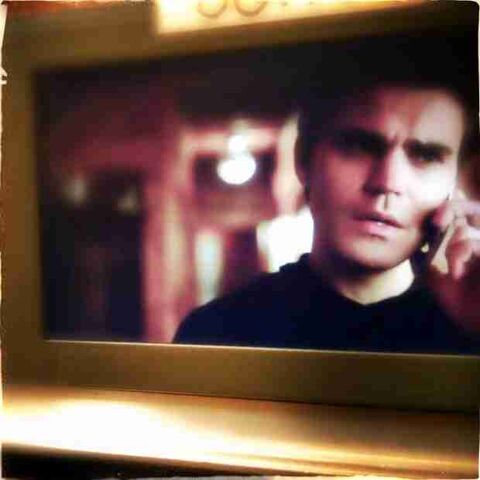 File:STEFAN 5X20.jpg