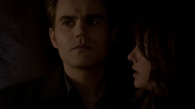 File:Normal tvd511 1393.jpg