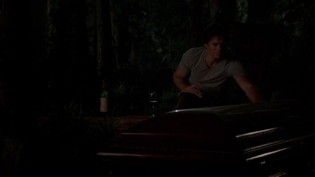 File:7X04-120-Damon.jpg