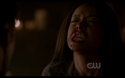 S4ep1p45.png