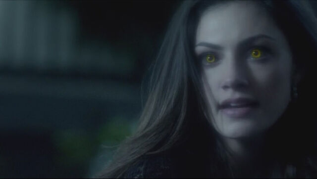 File:Originals-episode-1-20-wolf-hayley.jpg
