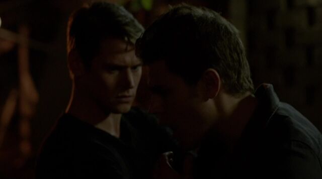 File:712-157-Stefan-Matt.jpg