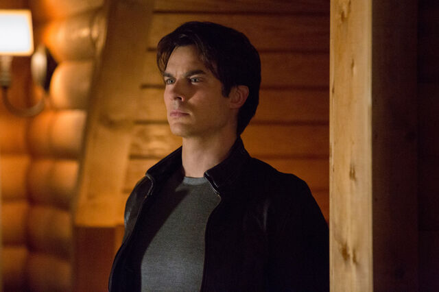 File:TVD 410A 0070b.jpg-d3ce0368-t3.jpg