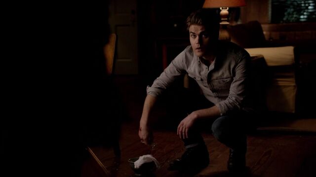 File:Normal tvd602 1477.jpg