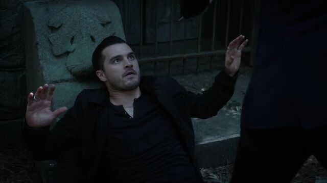 File:7X07-91-Enzo.jpg