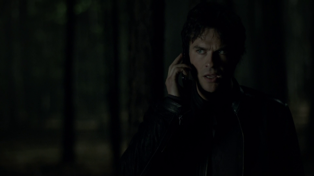 File:721-097-Damon~Bonnie.png
