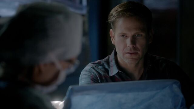 File:713-096-Alaric.jpg