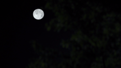 Moon1