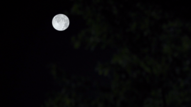 File:Moon1.png