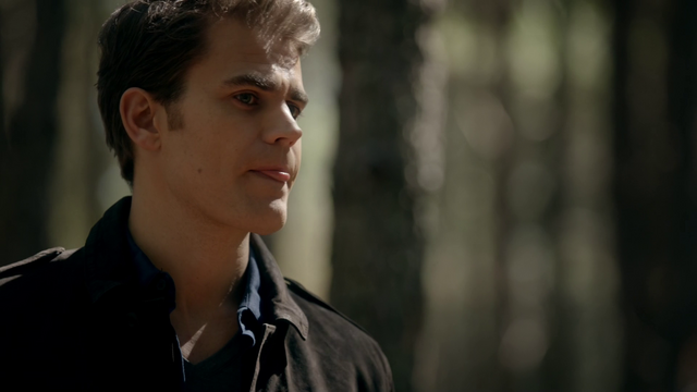 File:719-101-Stefan~Alaric.png