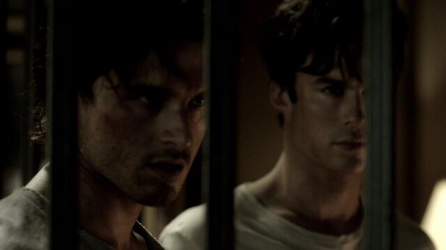 File:TVD 0976.jpg