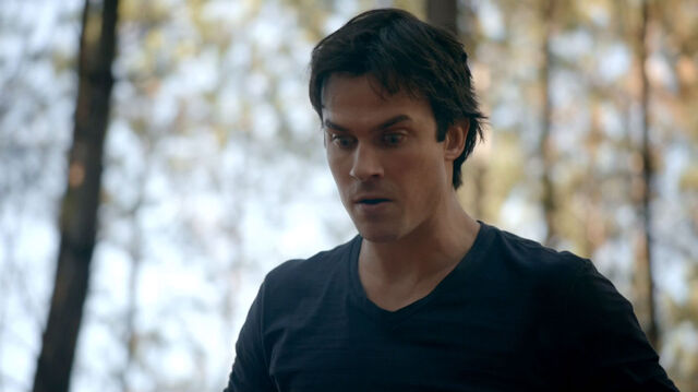 File:715-062-Damon.jpg
