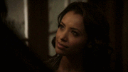 1000px-SFDN.gif