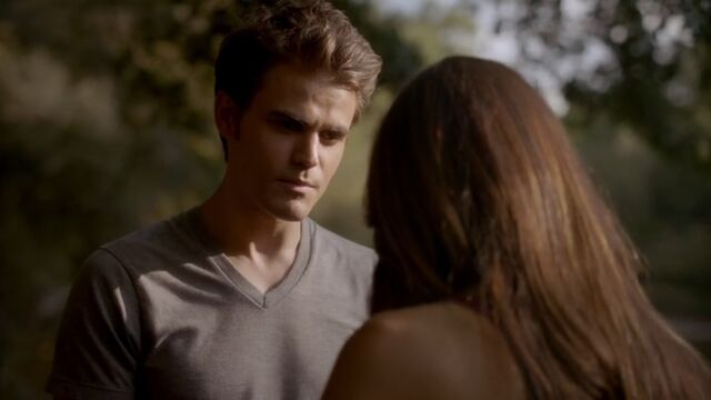 File:Stefan 20 TVD 5x04.jpg
