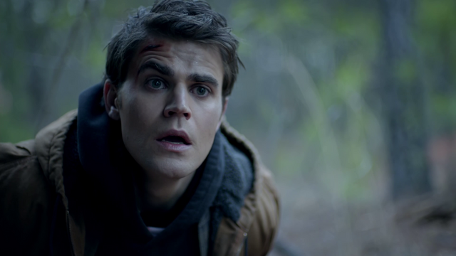 File:717-046-Stefan.png