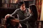 Bonnie-and-Damon-bonnie-bennett-23734676-2048-1365.jpg