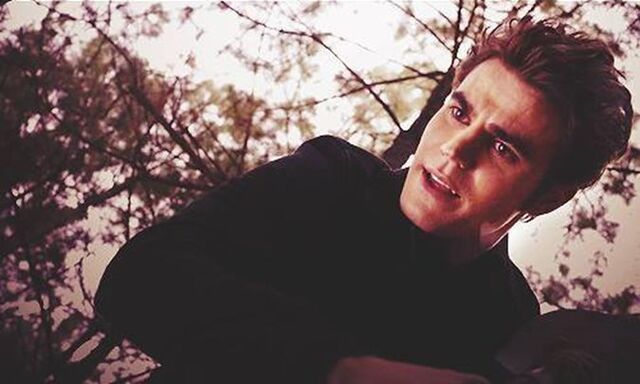 File:Stefan Salvatore 5x13.jpg