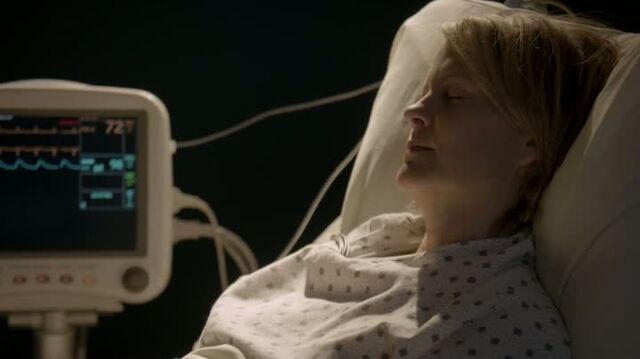 File:6X12-36-Liz.jpg