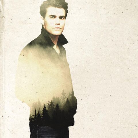 File:TVD7-Stefan.jpg