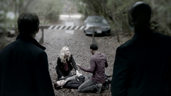 813-090-Stefan-Caroline-Dorian~Cade