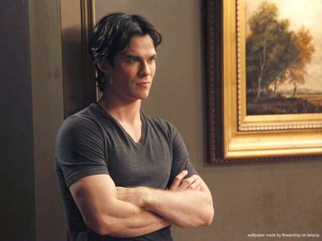 File:Ian-Wallpaper-ian-somerhalder-28037841-1024-768.jpg