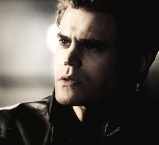 File:Stefan salvatore 5x8.jpg