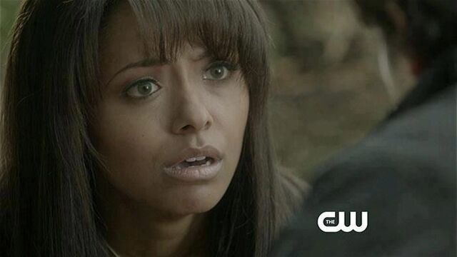 File:TVD-4x15-Stand-By-Me-Preview-the-vampire-diaries-33634454-700-394.jpg