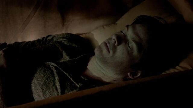 File:7X01-3-Damon.jpg