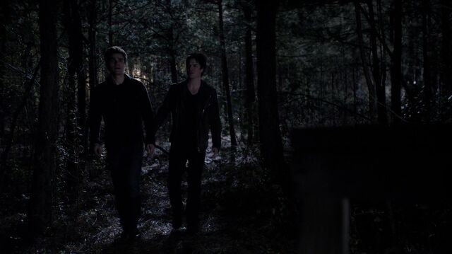 File:Defan-5X20.jpg