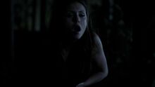 Tvd507hd-1855.jpg