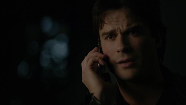 File:713-117-Damon.jpg