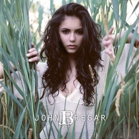 File:Nina-Dobrev-elena-gilbert-15125613-550-550.jpg