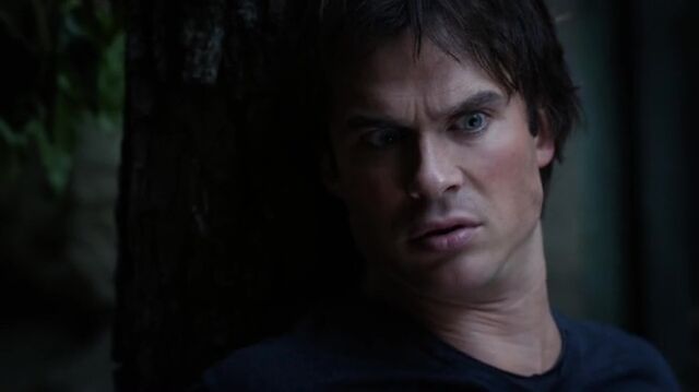 File:7X07-105-Damon.jpg