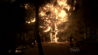 OakTreeBurns s03.png