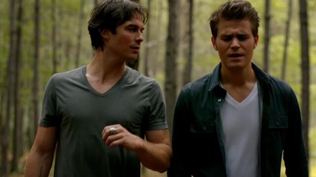 File:7X02-75-StefanDamon.jpg