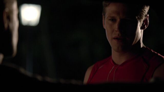File:Normal tvd602 1150.jpg