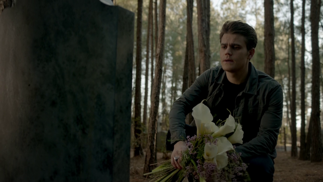 File:720-057-Stefan.png