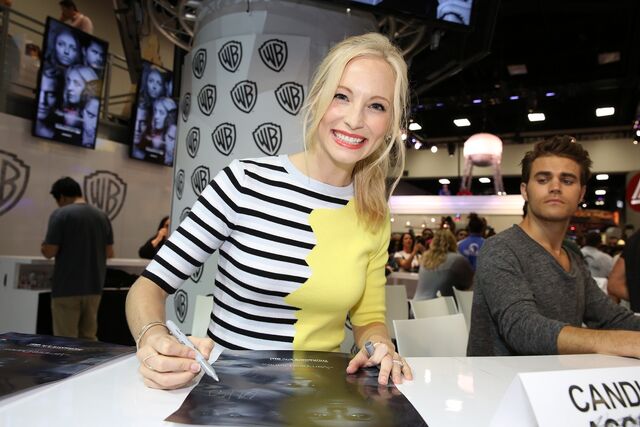 File:2015 WBSDCC Panel 10.jpg