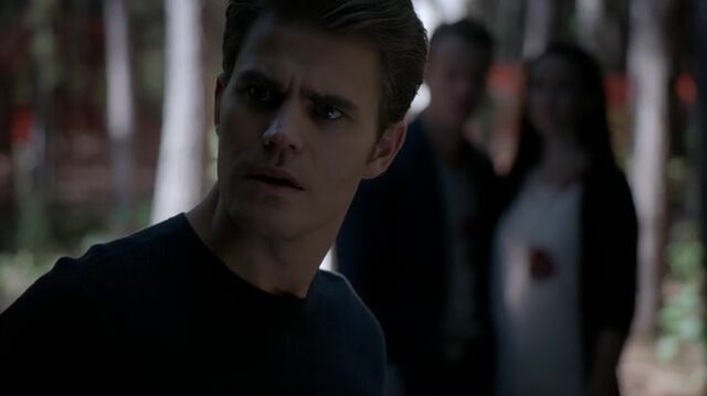 File:7X07-113-Stefan.jpg
