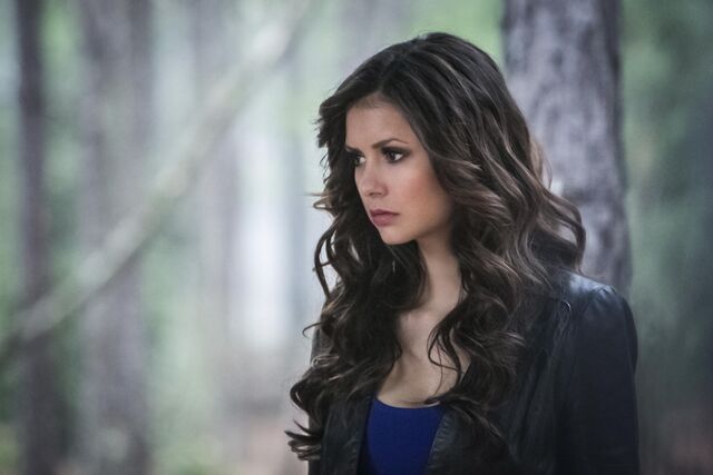 Файл:Tvd (2)1234.jpg
