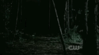 Werewolf-superspeed.gif