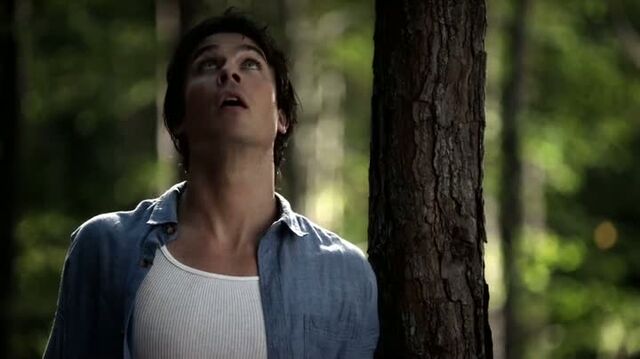 File:6X05-69-Damon.jpg