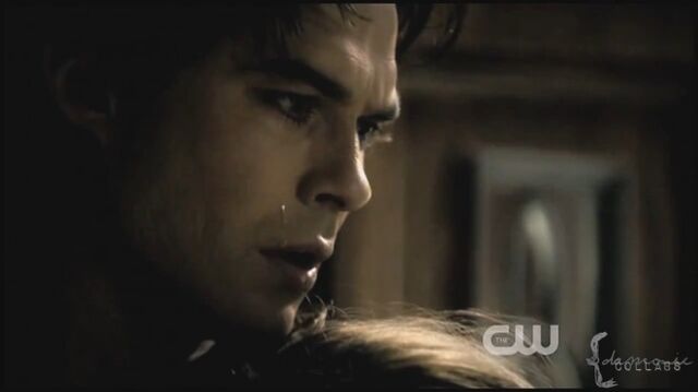 Fichier:Damon-Salvatore.jpg