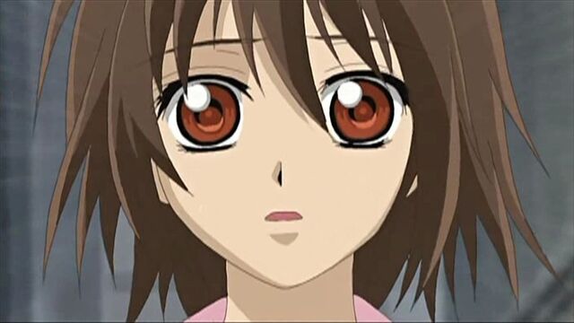 File:Shoku-dan VampireKnight-05038 0001.jpg
